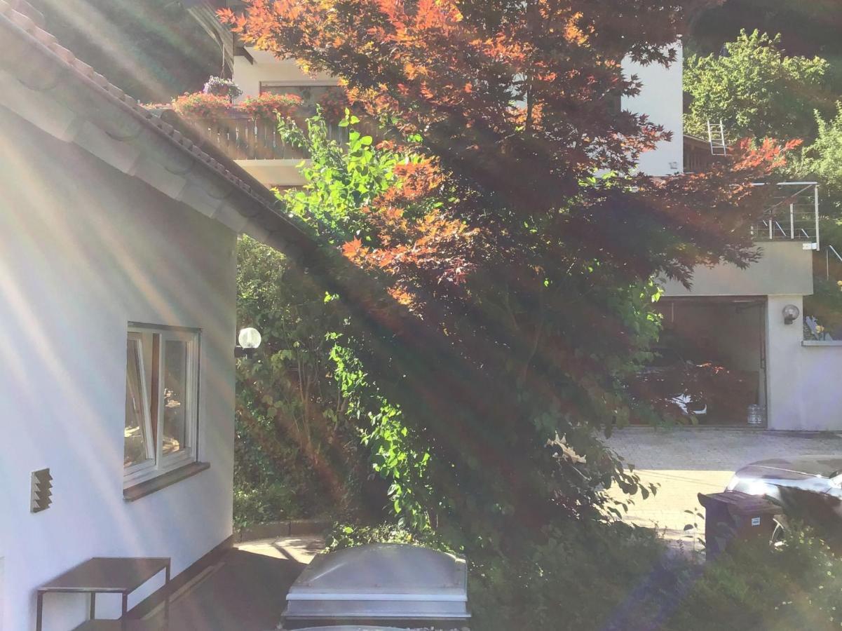 Ferienwohnung Am Eiberg Bad Wildbad Luaran gambar